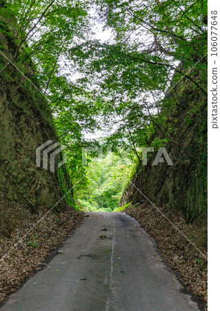 Onigoe Kiritoshi 106077648