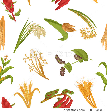 Seamless Pattern Featuring Intricate Tile Of Various Cereal Grain Plants, Creating A Harmonious And Repetitive Design 106078368