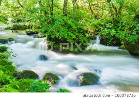 "Aomori Prefecture" Beautiful Oirase stream surrounded by fresh greenery 106078736