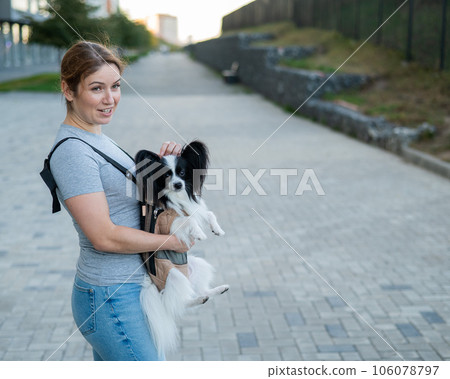 Happy caucasian woman walking with a dog in a backpack. Papillon Spaniel Continental in a sling. 106078797
