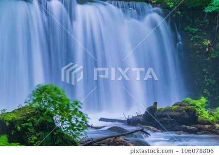 "Aomori Prefecture" Summer Choshi Otaki Oirase stream surrounded by greenery 106078806