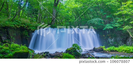"Aomori Prefecture" Summer Choshi Otaki Oirase stream surrounded by greenery 106078807