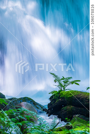 "Aomori Prefecture" Summer Choshi Otaki Oirase stream surrounded by greenery 106078816