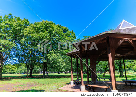Tokyo, Shibuya Ward, Yoyogi Park in early summer (Hexagon's Rest House) 106078874