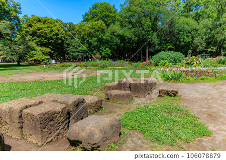 初夏的代代木公園（花之國），東京澀谷區 106078879