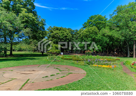 初夏的代代木公園(花之國),東京澀谷區 初夏的代代木公園(花之國),東京澀谷區 106078880