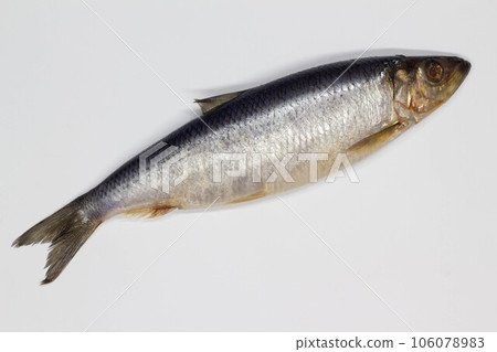 Herring on a white background. Isolated. Whole Salty fish. Salted herring. Successful marine fishing. Sea catch of fishermen. Delicious juicy ocean food. Freshness and seafood. Close-up. Top view 106078983