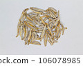 anchovies, anchovy, background, beautiful, beer, close-up, closeup, color, cooking, cuisine, culinary, delicious, design, dry, eat, fish, fishing, food, gastronomy, gourmet, group, healthy, ingredient 106078985
