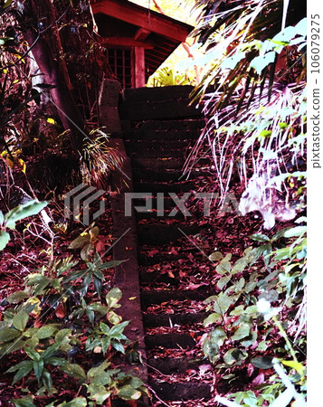 樓梯上的鳥居和神社 106079275
