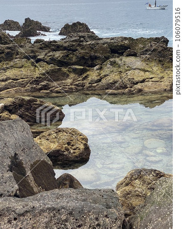 Tide Pool Tide Pool 106079516