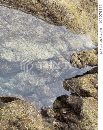 Tide Pool Tide Pool 106079523