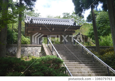 Maya Temple Temple Maya Temple Temple 106079763