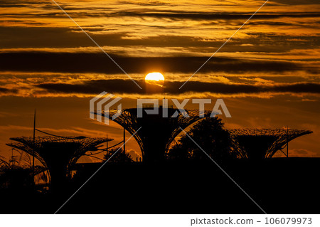 [Singapore] Supertree Grove and sunrise at Gardens by the Bay 106079973
