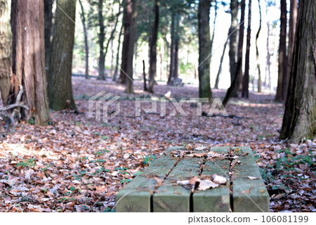 秋天的公園 秋天的公園 106081199