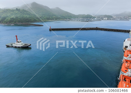 Tugboats and large passenger ships Tugboats and large passenger ships 106081466