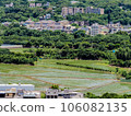 countryside scenery hsinchu county taiwan rice planting 106082135