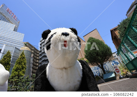 panda car in Tokyo, in Hanayashiki, Hanayashiki is one of oldest amusement park in Japan. 106082242