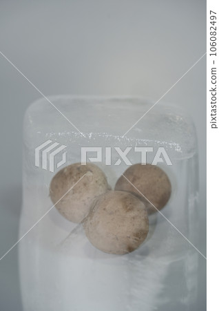 brown mushrooms in icicles 106082497
