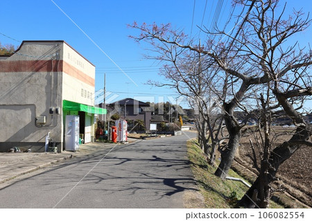 Ibaraki Inashiki Scenery with a round mailbox (Okano Shoten) 106082554