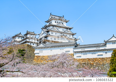 Himeji Castle with cherry blossoms in full bloom 106083322