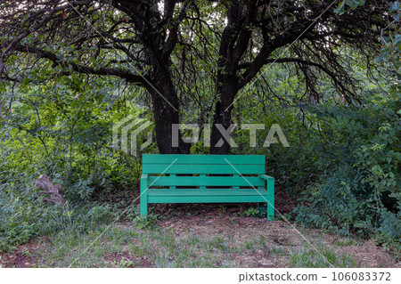 Night view of the Mitch Park 106083372