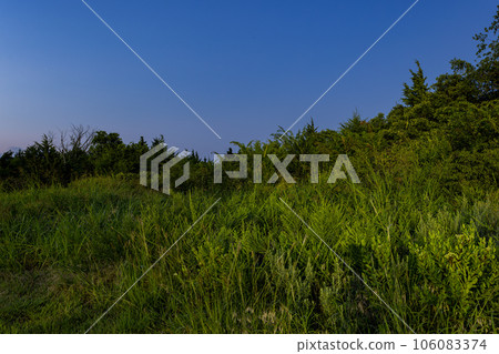 Night view of the Mitch Park 106083374