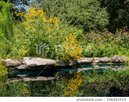 Sunny view of the garden of Philbrook Museum of Art 106083419