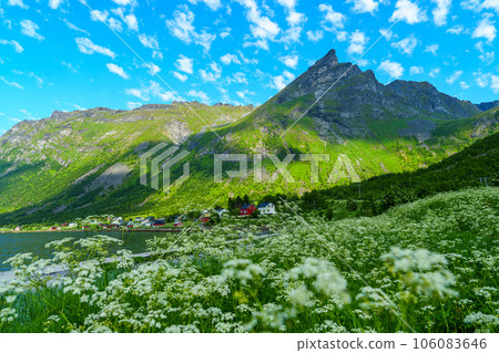 Beautiful classic Norwegian summer landscape in the month of July. mighty mountains meadows, sea 106083646
