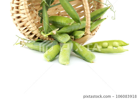 Basket with green peas pods isolated on white 106083918