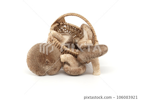Shiitake mushrooms in wicker basket on white background 106083921