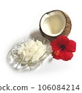 玻璃盤中的椰子胚乳、破裂的椰子和紅芙蓉 106084214