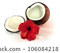 裡面有裂開的椰子和紅芙蓉 106084218