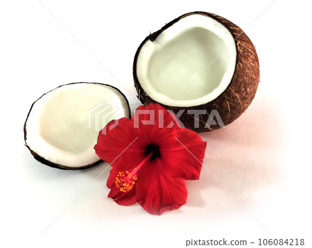 A cracked coconut and red hibiscus showing inside A cracked coconut and red hibiscus showing inside 106084218