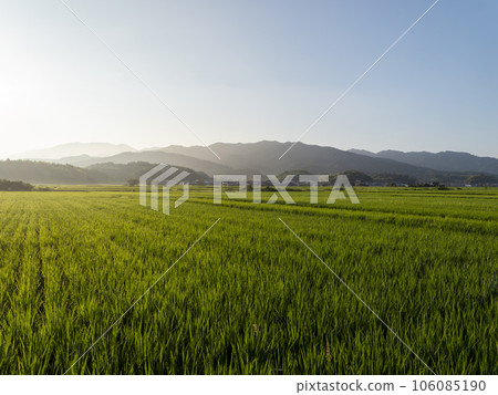 旭日初升的飛鳥村鄉村風光 旭日初升的飛鳥村鄉村風光 106085190