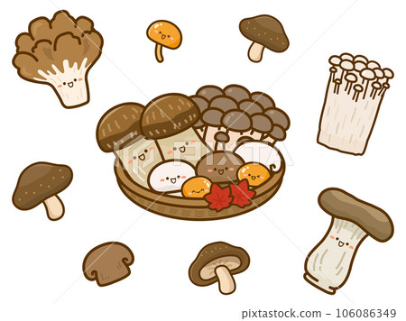 Illustration set of various mushrooms 106086349