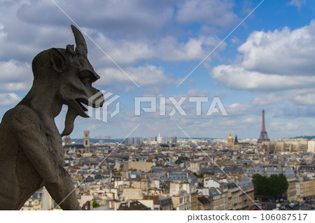 Paris city from Notre Dame cathedral observatory ~ Chimera corridor ~ (France-Paris) Paris city from Notre Dame cathedral observatory ~ Chimera corridor ~ (France-Paris) 106087517