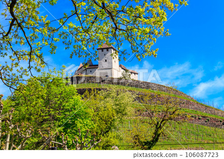 Gutenberg Castle in town of Balzers, Liechtenstein 106087723