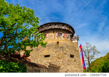 Medieval castle in Vaduz, Liechtenstein, Europe Medieval castle in Vaduz, Liechtenstein, Europe 106087730