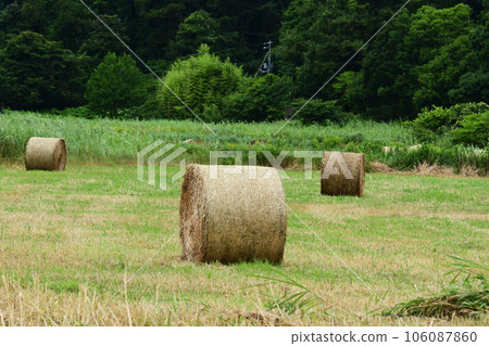 midsummer hay roll midsummer hay roll 106087860