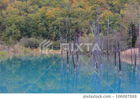 Shirogane Blue Pond dyed in autumn leaves Shirogane Blue Pond dyed in autumn leaves 106087888