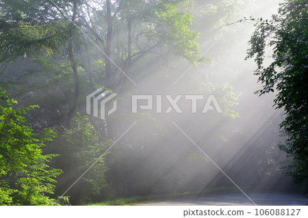 光束 光束 106088127