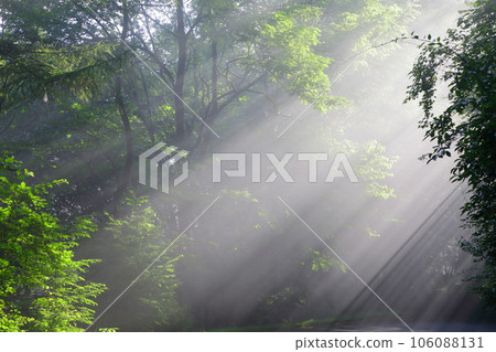 Light beam 106088131