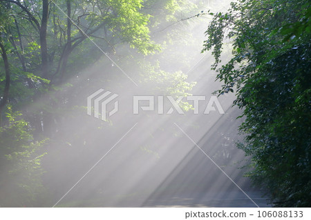 Light beam 106088133