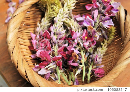 kudzu flowers in a basket kudzu flowers in a basket 106088247
