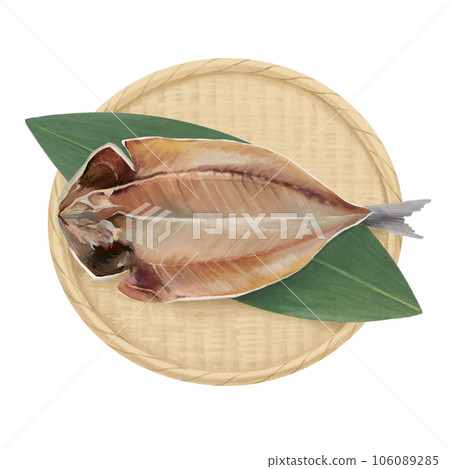 過濾器上乾魚的手繪插圖 106089285