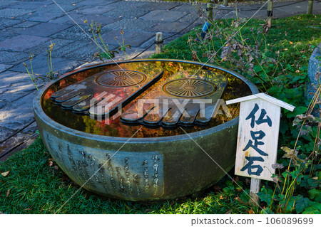 Kamakura, the ancient capital of late autumn Hase-dera Temple in autumn leaves Kamakura, the ancient capital of late autumn Hase-dera Temple in autumn leaves 106089699