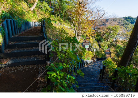 深秋的古都鎌倉——秋天的長谷寺 106089719