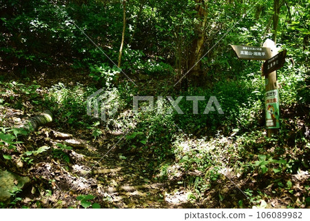 大磯町駒山縣立森林徒步路線恩名坂和路標 106089982