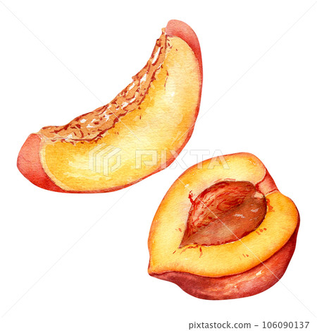 Fresh half red peach watercolor illustration isolated on white. Hand drawn slice, piece orange fruit nectarine. Painting food illustration, design element for package, label 106090137
