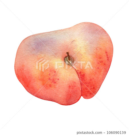 Chinese flat fig peach pink watercolor illustration isolated on white. Watercolor painted pink fruits drawing. Food illustration hand drawn, design element for package, label 106090139